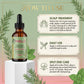 Mielle Rosemary Mint Scalp & Hair Strengthening Oil 59ml | Hair & Scalp Oil